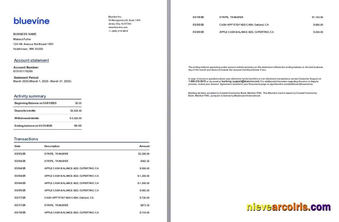 USA New Jersey Bluevine bank st, 3 pages, 1-2p